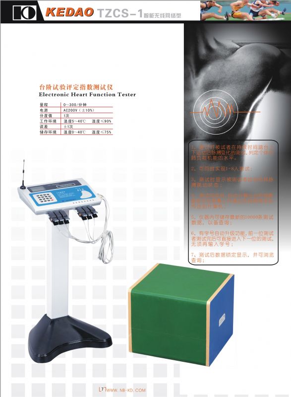 Step test assessment index tester